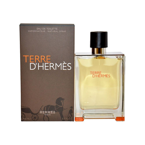 Hermes | Terre D'hermes | 100ml | EDT | בושם לגבר